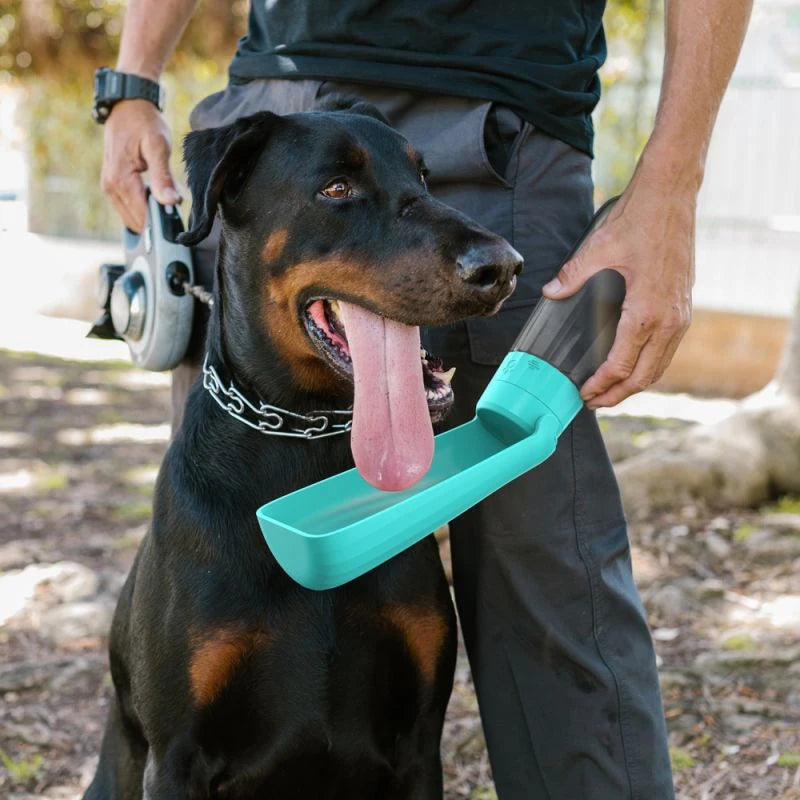 HydraPaw™ – Gourde Portable pour Chien  Hydratez votre chien partout 🐾
